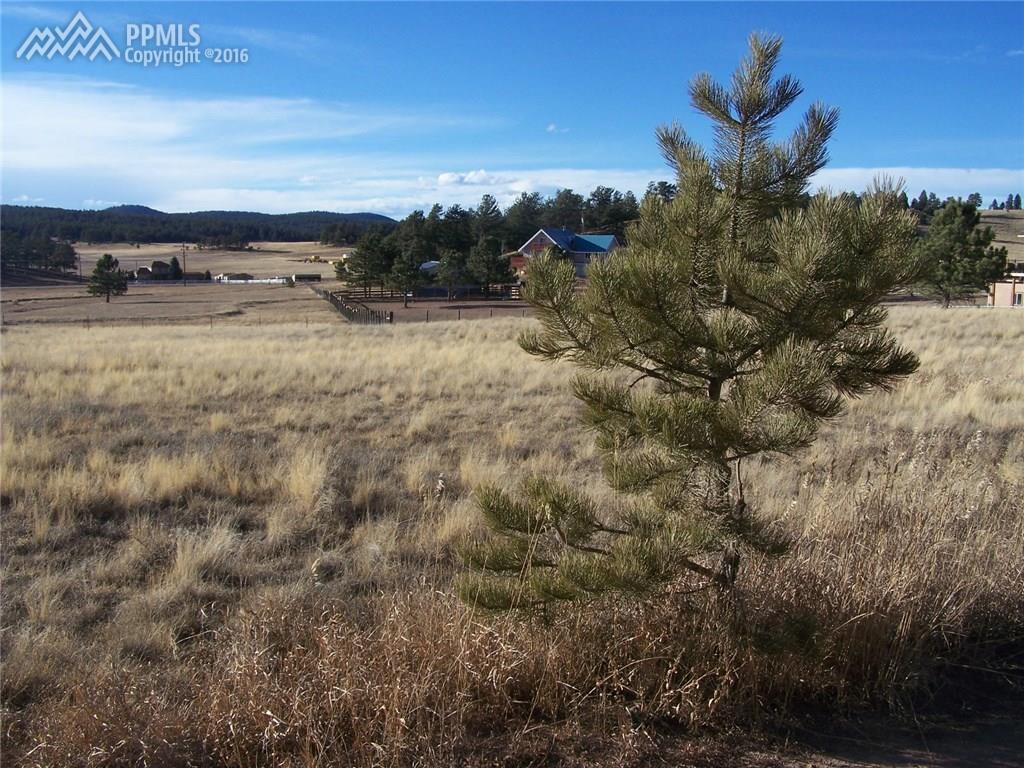 525 Due South Road - Photo 1