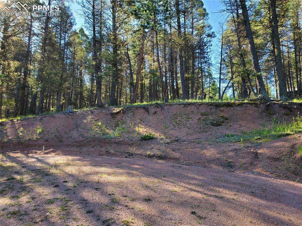 108 Antelope Circle - Photo 1