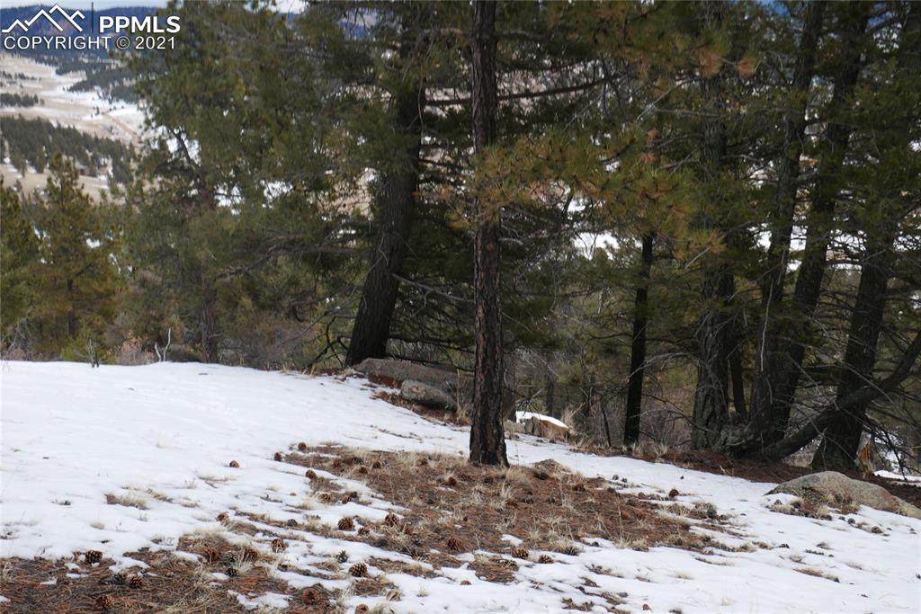 0 Conifer Circle - Photo 1