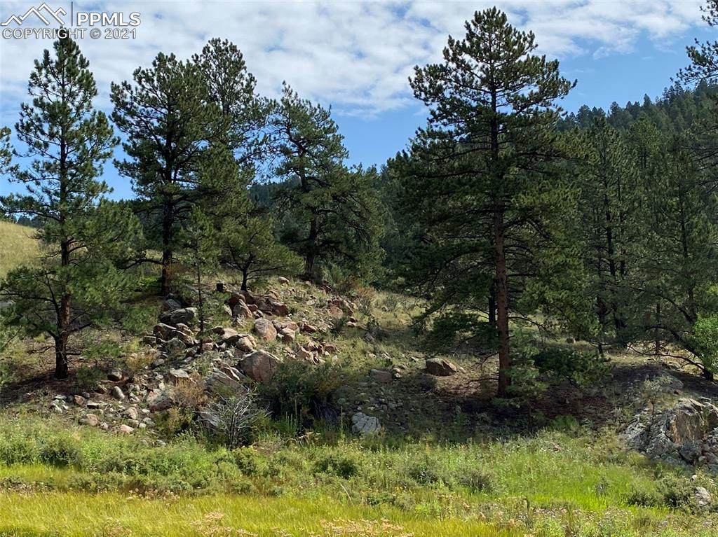2599 Highland Meadows Drive - Photo 1