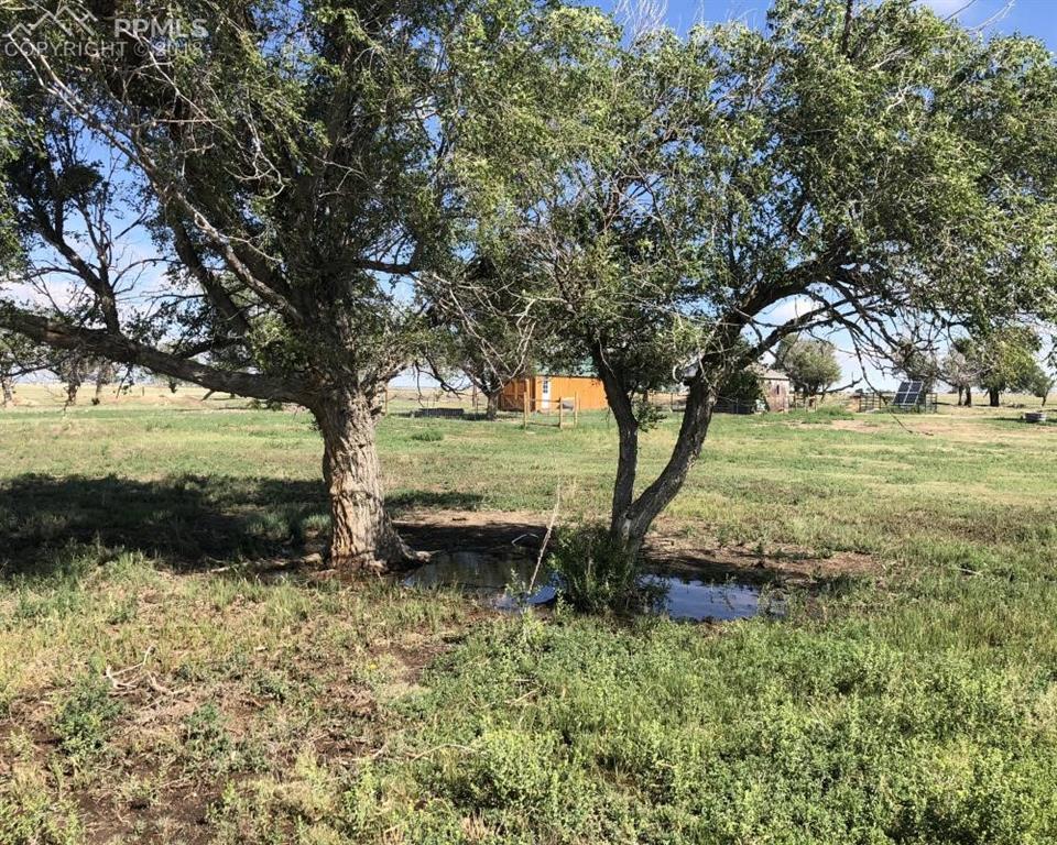 26020 Little Springs Road - Photo 1