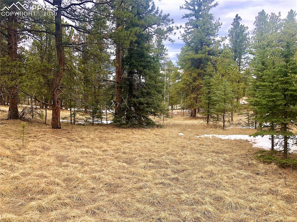 275 Mountain Estates Road - Photo 1