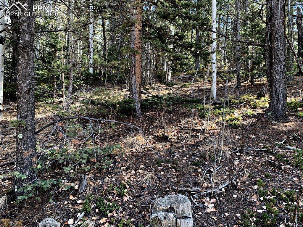 95 Fairview Drive - Photo 1