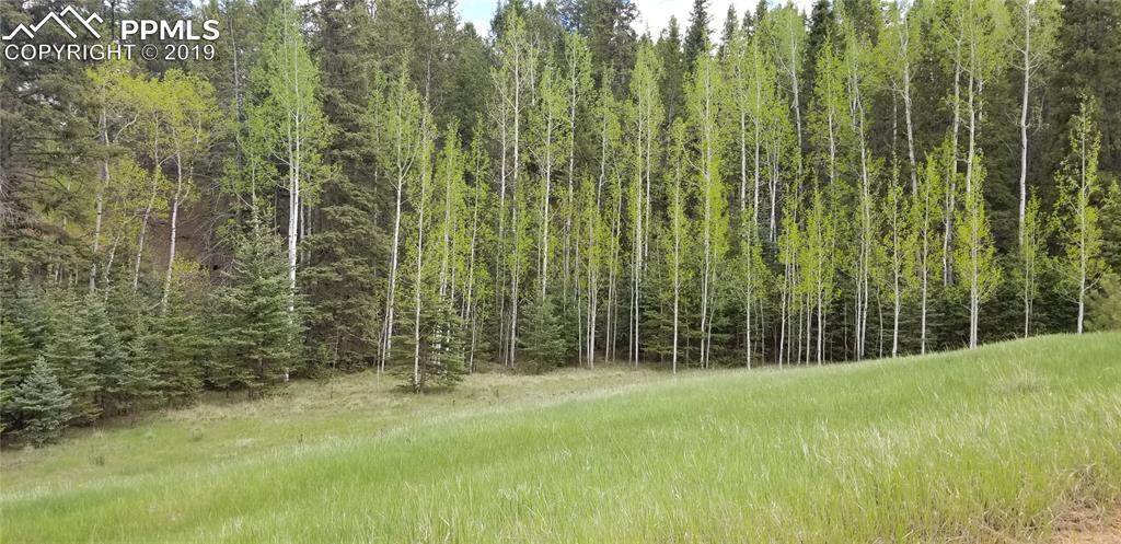 TBD Lake Drive - Photo 1