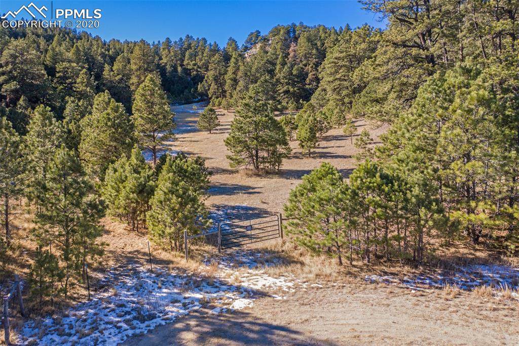 16490 Mesquite Road - Photo 1