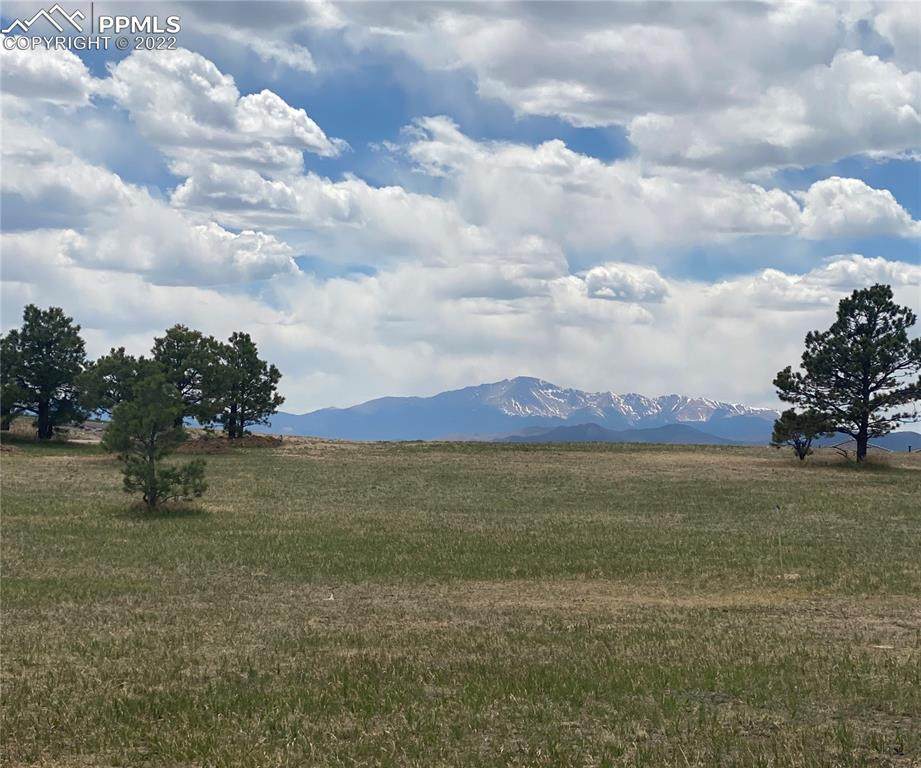 4257 Silver Nell Drive - Photo 1