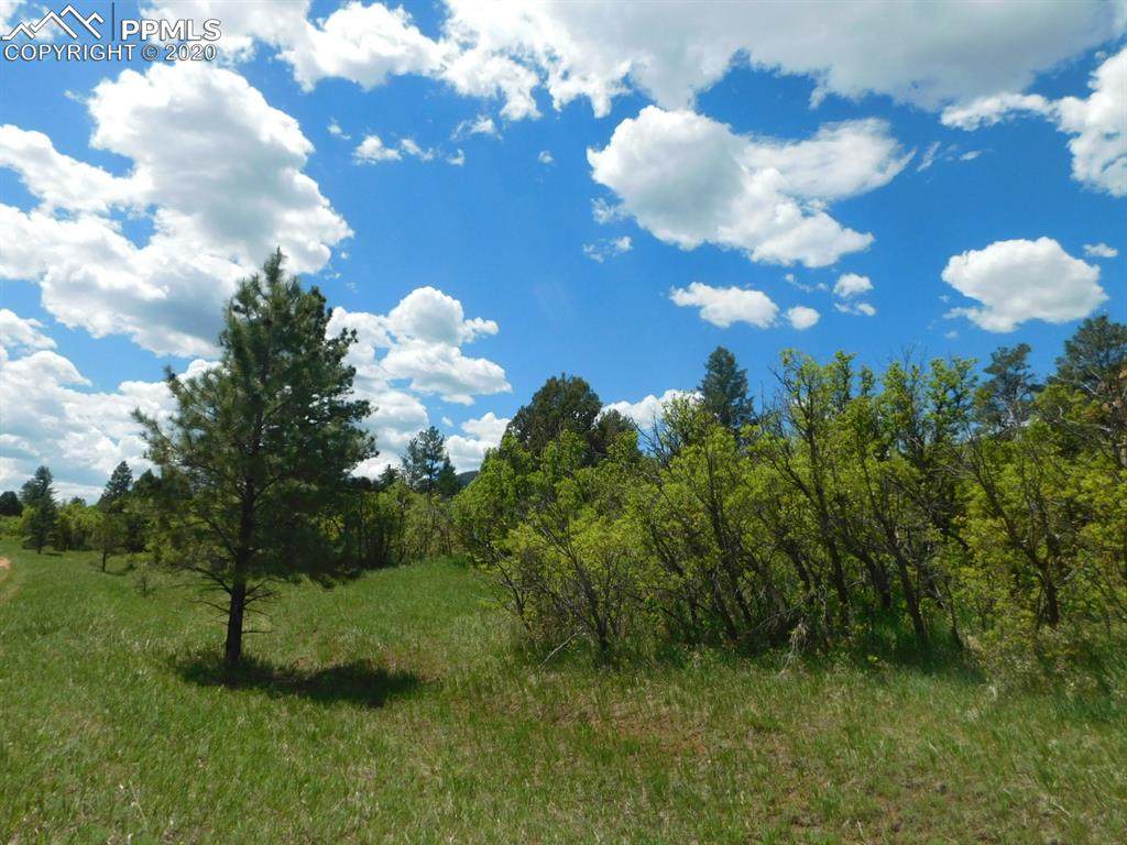 6129 St Andrews Court - Photo 1