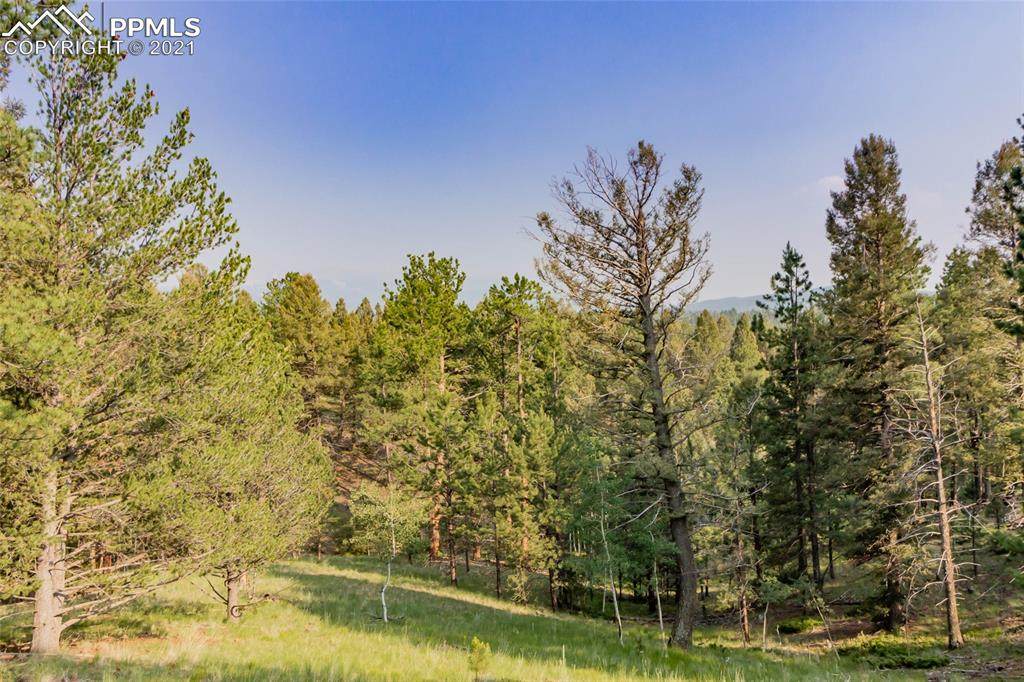154 Walden Lake Circle - Photo 1