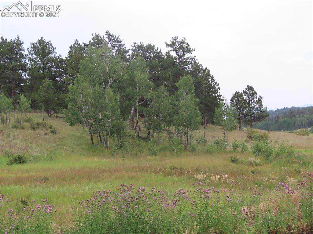 21 Elkhorn Lane - Photo 1