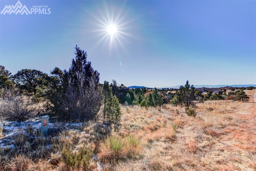 15632 Cala Rojo Drive - Photo 1