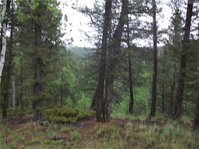 547 Spruce Lake Drive - Photo 1