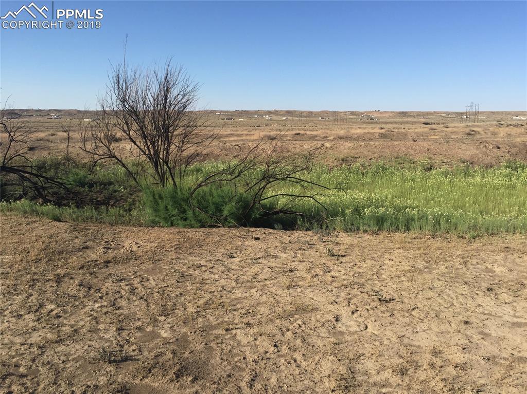 5585 Salt Cedar Road - Photo 1