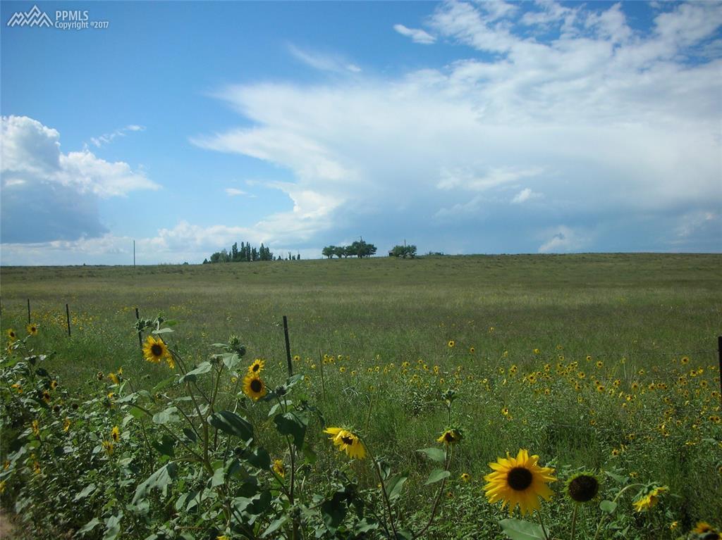 39320 Truckton Road - Photo 1