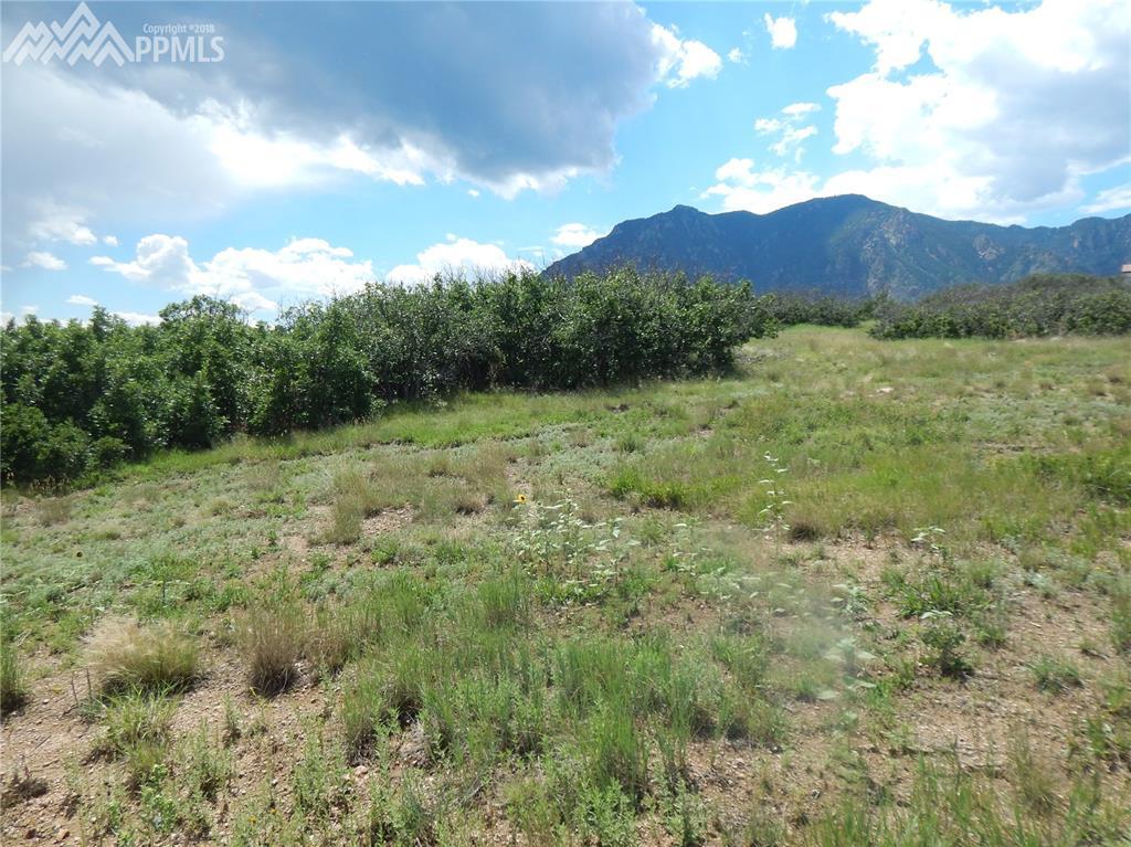 6519 Farthing Drive - Photo 1