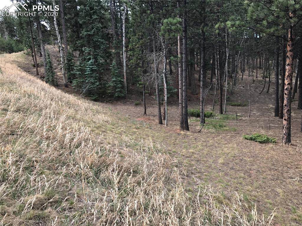 730 Pembrook Drive - Photo 1