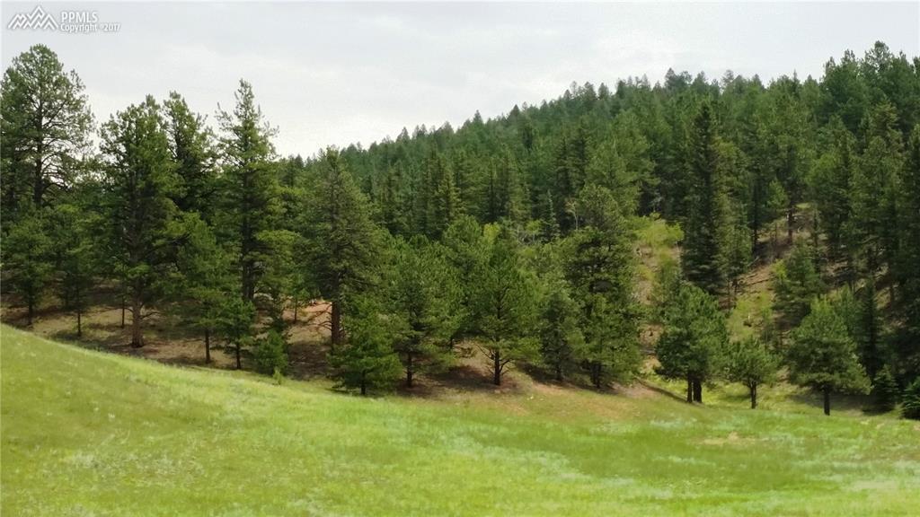 0 Witcher Mountain Road - Photo 1