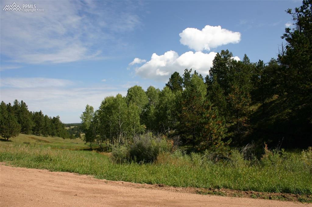 203 Arrowhead Road - Photo 1