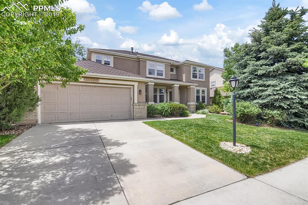 10298 Peach Blossom Trail - Photo 1
