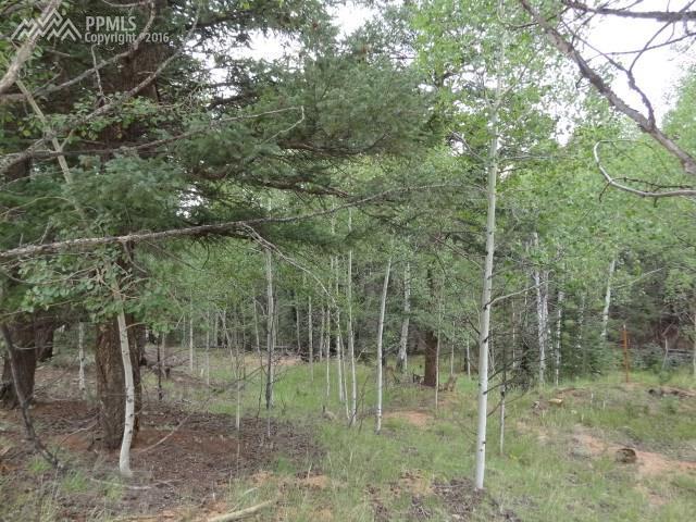 180 Sentinel Way - Photo 1