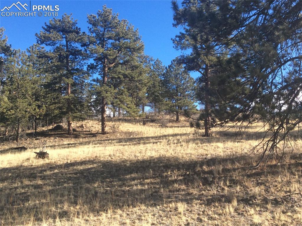 County 77 Road - Photo 1