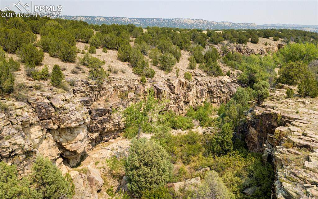 0 Red Creek Springs Road - Photo 1