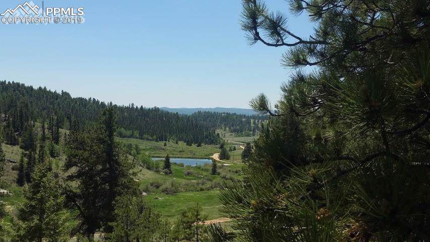 4583 Highway 24 - Photo 1