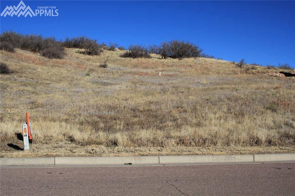 6485 Farthing Drive - Photo 1