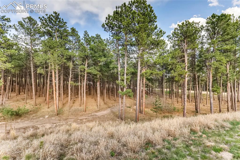 17450 Minglewood Trail - Photo 1