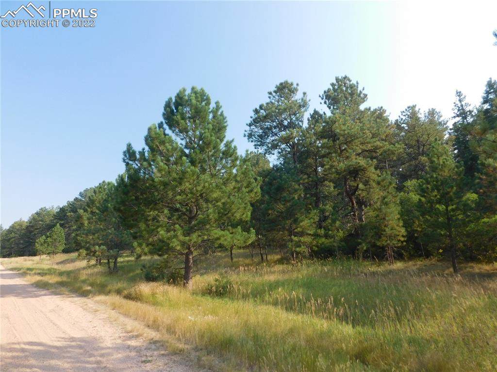 4668 Comanche Drive - Photo 1