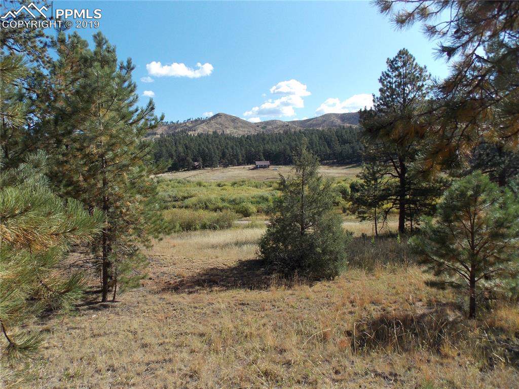15462 Westcreek Road - Photo 1 15462 Westcreek Road - Photo 1