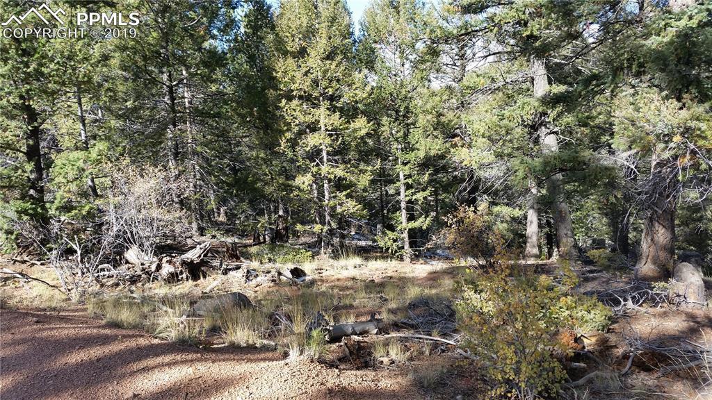 3520 Mountain Estates Road - Photo 1