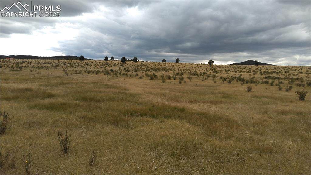 11881 Highway 67 Highway - Photo 1
