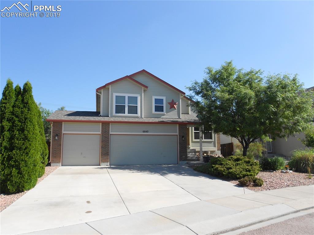 6842 Ancestra Drive - Photo 1