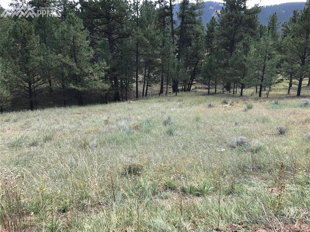 488 Navajo Trail - Photo 1