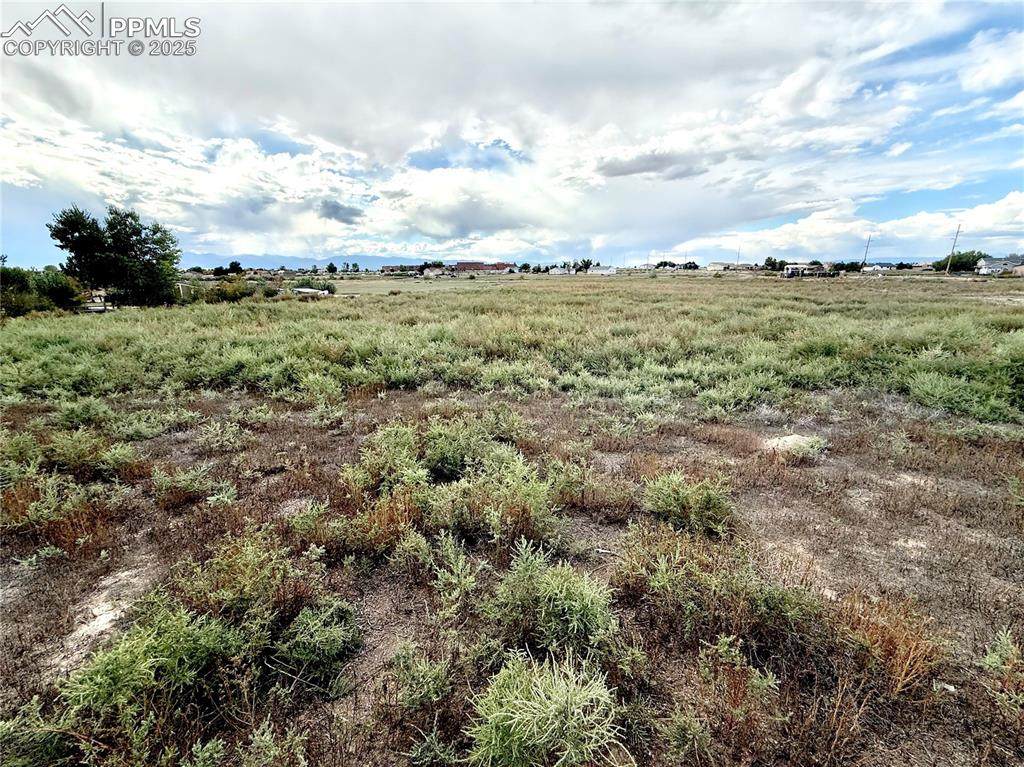 625 Vallejo Drive - Photo 1