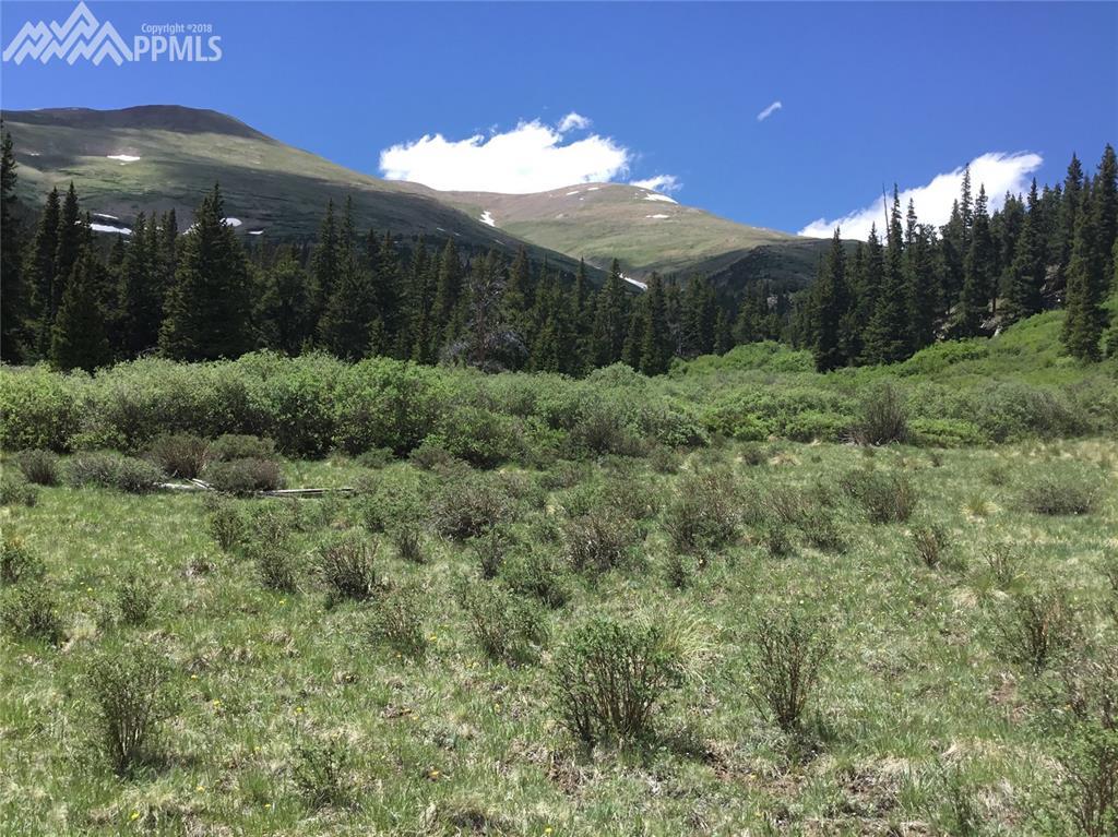 TBD County 787 Road - Photo 1