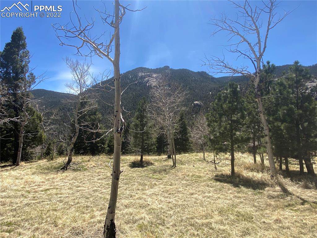 301 Derby Rock Loop - Photo 1