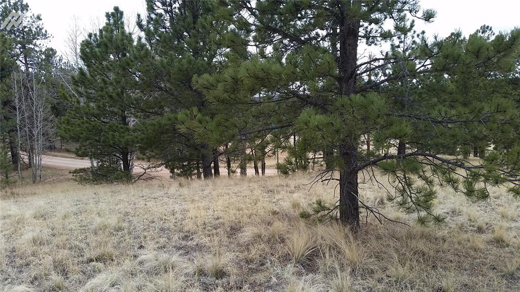 Big Horn Lane - Photo 1
