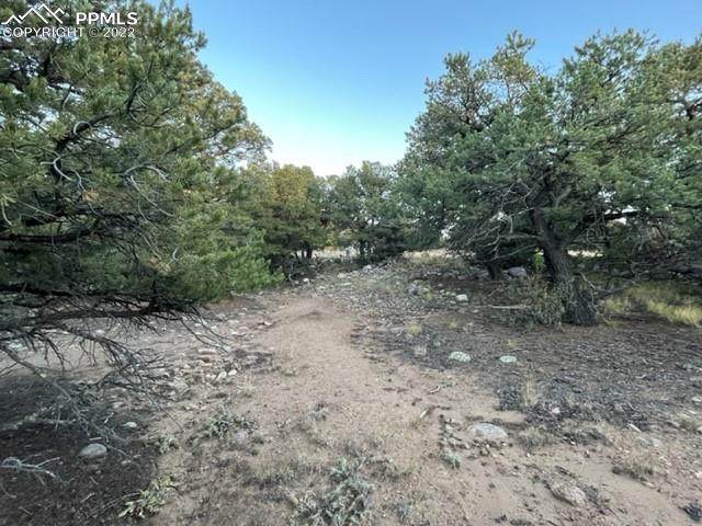3676 Enchanted Way - Photo 1
