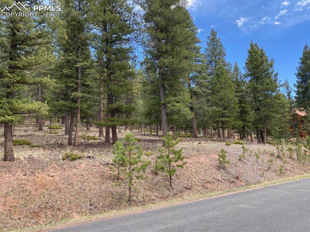1171 Forest Edge Road - Photo 1