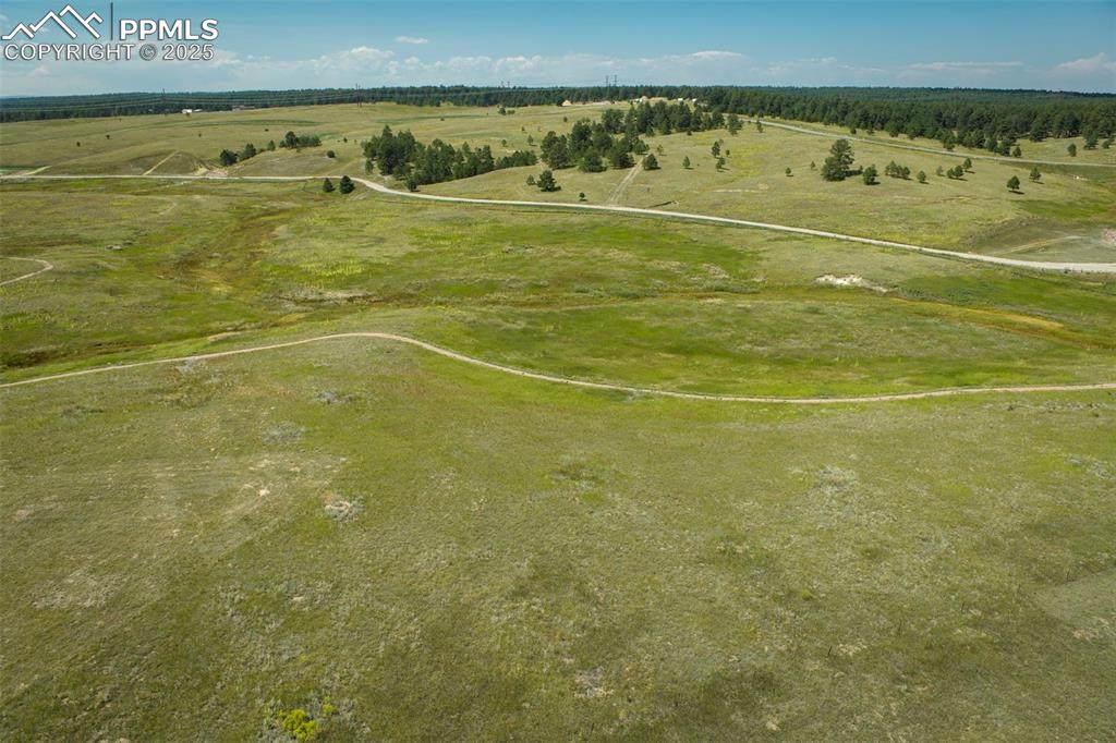 11440 Alamar Way - Photo 1