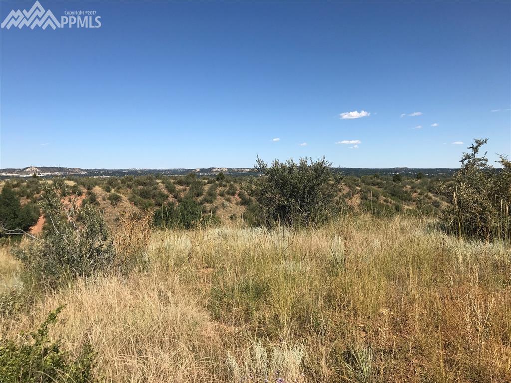 1981 Mesa Park View - Photo 1