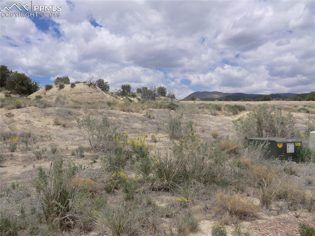 831 Pecos Point - Photo 1