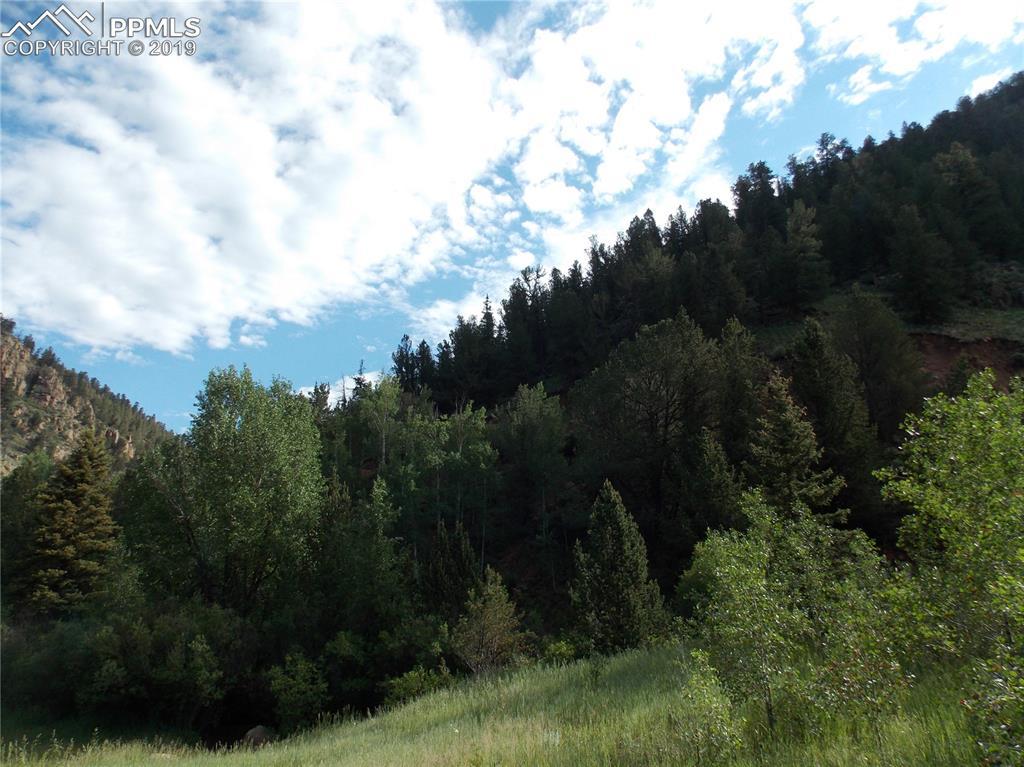 County 61 - Photo 1