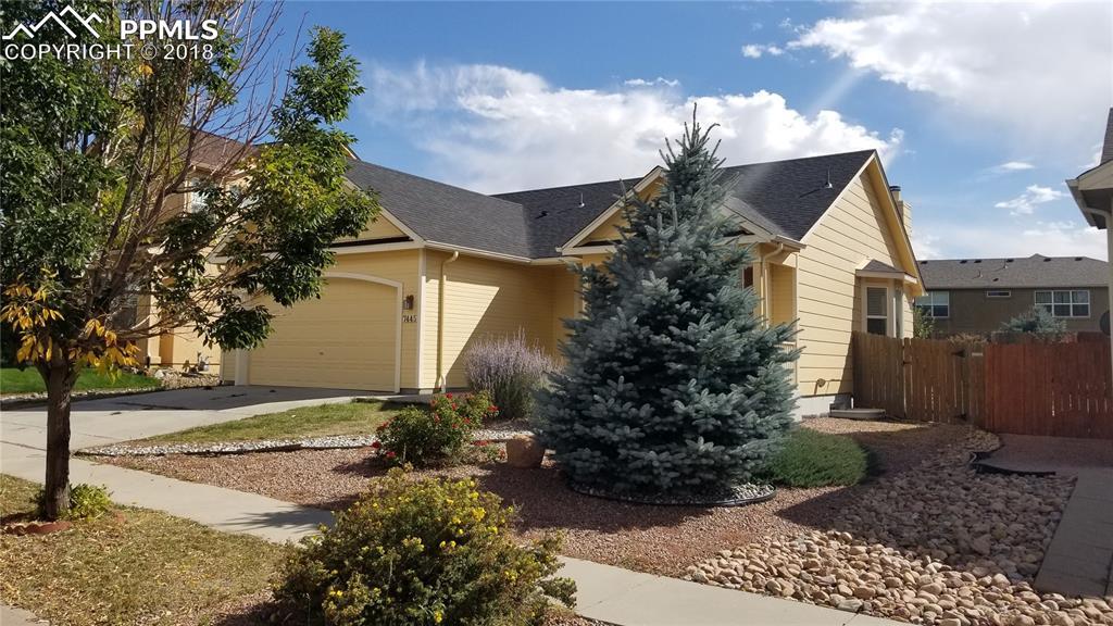 7445 Wrangler Ridge Drive - Photo 1