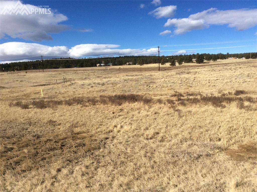 377 Empire Road - Photo 1