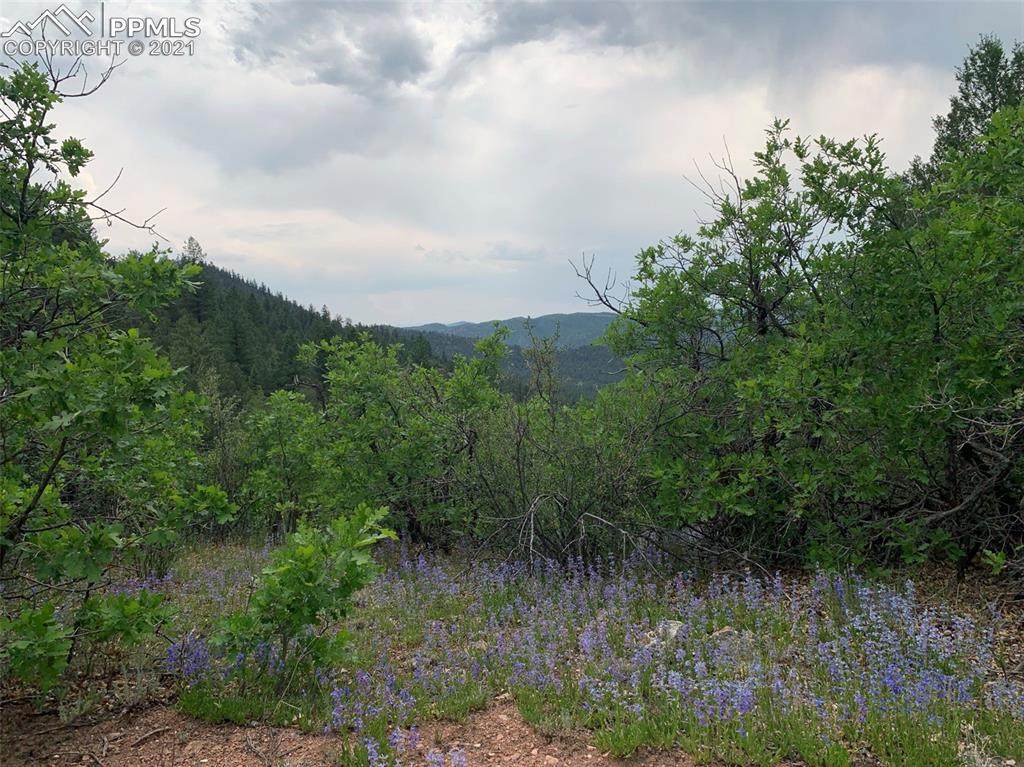 1289 Pine Vista - Photo 1