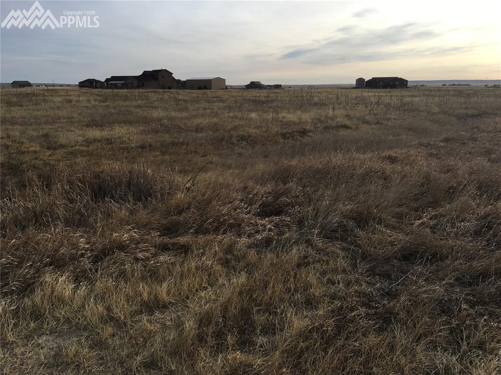 10725 Mckissick Road - Photo 1