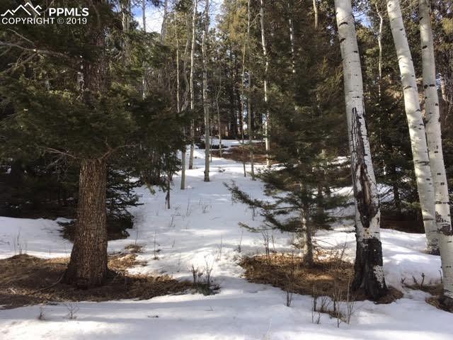 99 Waterfall Loop - Photo 1