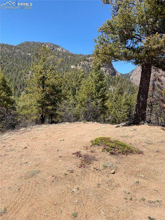 5448 Little Turkey Creek Road - Photo 1